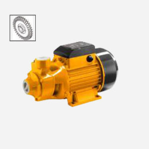 Vortex Pump-QB-60
